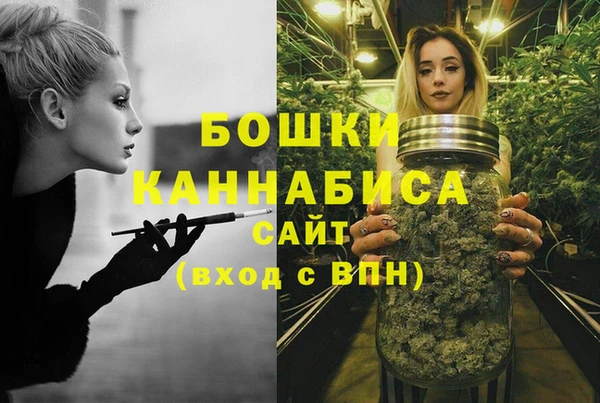 гашик Няндома