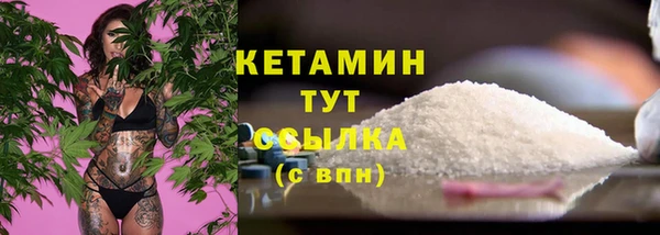 гашик Няндома