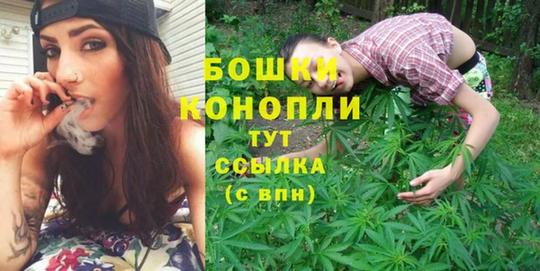 гашик Няндома