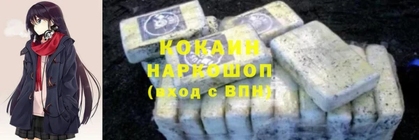 гашик Няндома
