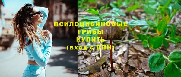 гашик Няндома
