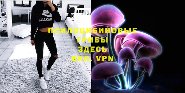 гашик Няндома
