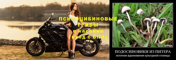 гашик Няндома
