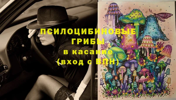 бошки Нягань