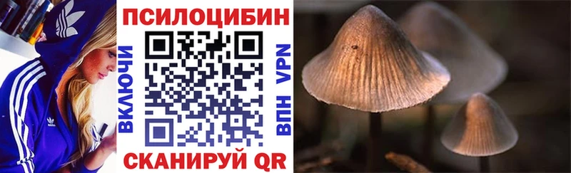 Псилоцибиновые грибы Cubensis  Отрадная 